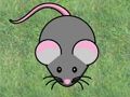 Rodent Whack 