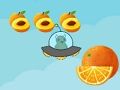 Fruit Hunt! 