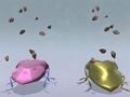 Shield Bugs 