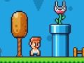 Ninja Plumber 