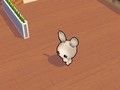 Funny Animal Cafe 