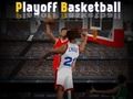 Playoff Basketball 