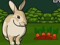 Rescue The Grey Rabbit 