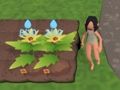 Garden Rush. Vegetables Escape Garden Rush. Vegetables Escape