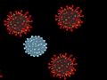 Kill the Virus 