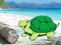 Beach Crab Pair Escape 