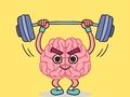 Perfect Brain 3d 