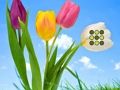 Flower Lawn Escape 