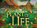 Plant of Life 