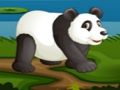 Football Panda 