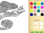 Adult Animal Coloring Book for Kids