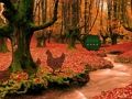 Autumn Backyard Escape 