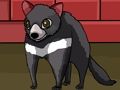 Forest Tasmanian Devil Rescue 