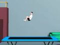 Trampoline Flip 