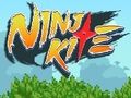 Ninja Kite 