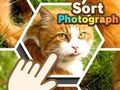 Sort Photograph 