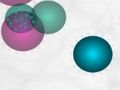 Spores 