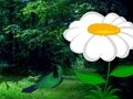 Greenest Spring Forest Escape 