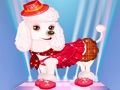 My Cute Dog Daisy My Cute Dog Daisy