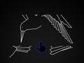 Hidden Shapes Animals 