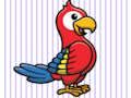 Color Parrot 