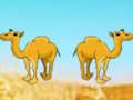 Desert Gold Rush The Great Treasure Escape 