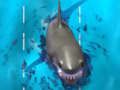 Avoid the Sharks 