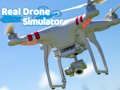 Real Drone Simulator 
