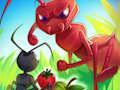 Ants. io 