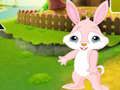 Find The Buddy Rabbit 