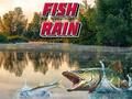 Fish Rain Fish Rain