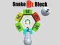 Snake Hit Block 