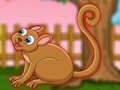 The Cute Tarsier Escape 