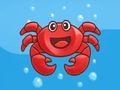 Coloring Book: Crab 