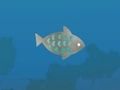 Fish Companions 