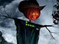 Finding Witch Cap 