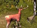 Stag Hunt 