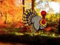 Thanksgiving Dancing Turkey Escape 