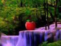 Fabulous Lake Forest Escape 