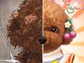 Pet Makeup Master 