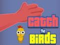 Catch the Birds 