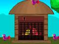 Love Birds Rescue 