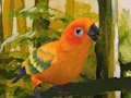 Cute Budgie Puzzle 