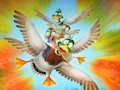 Migration Flappy Duck 