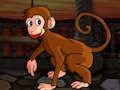 Diminutive Macaque Escape 