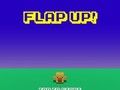 Flap Up 
