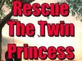 Rescue The Twin Princess 