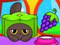Cosmo Pet Starry Care 
