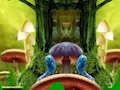Fantasy Peacock Family Escape 