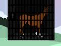 Strange Horse Rescue Strange Horse Rescue